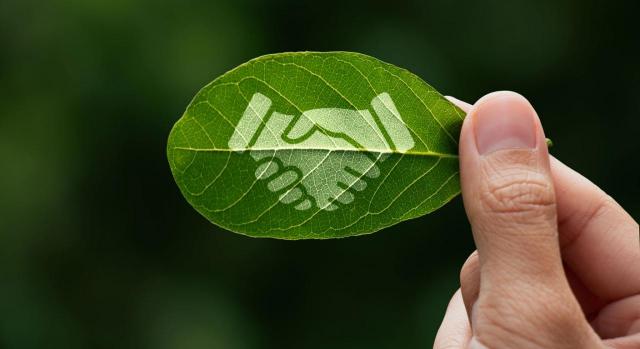 COESA publica las directrices no vinculantes de verificación limitada de información de sostenibilidad. Imagen de una mano sujetando una hoja en la que unas manos entrelazadas 